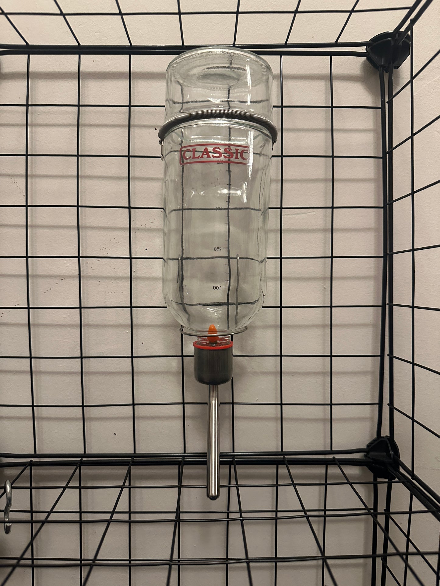 Chew proof glass water bottle for small pets, huge 750ml capacity