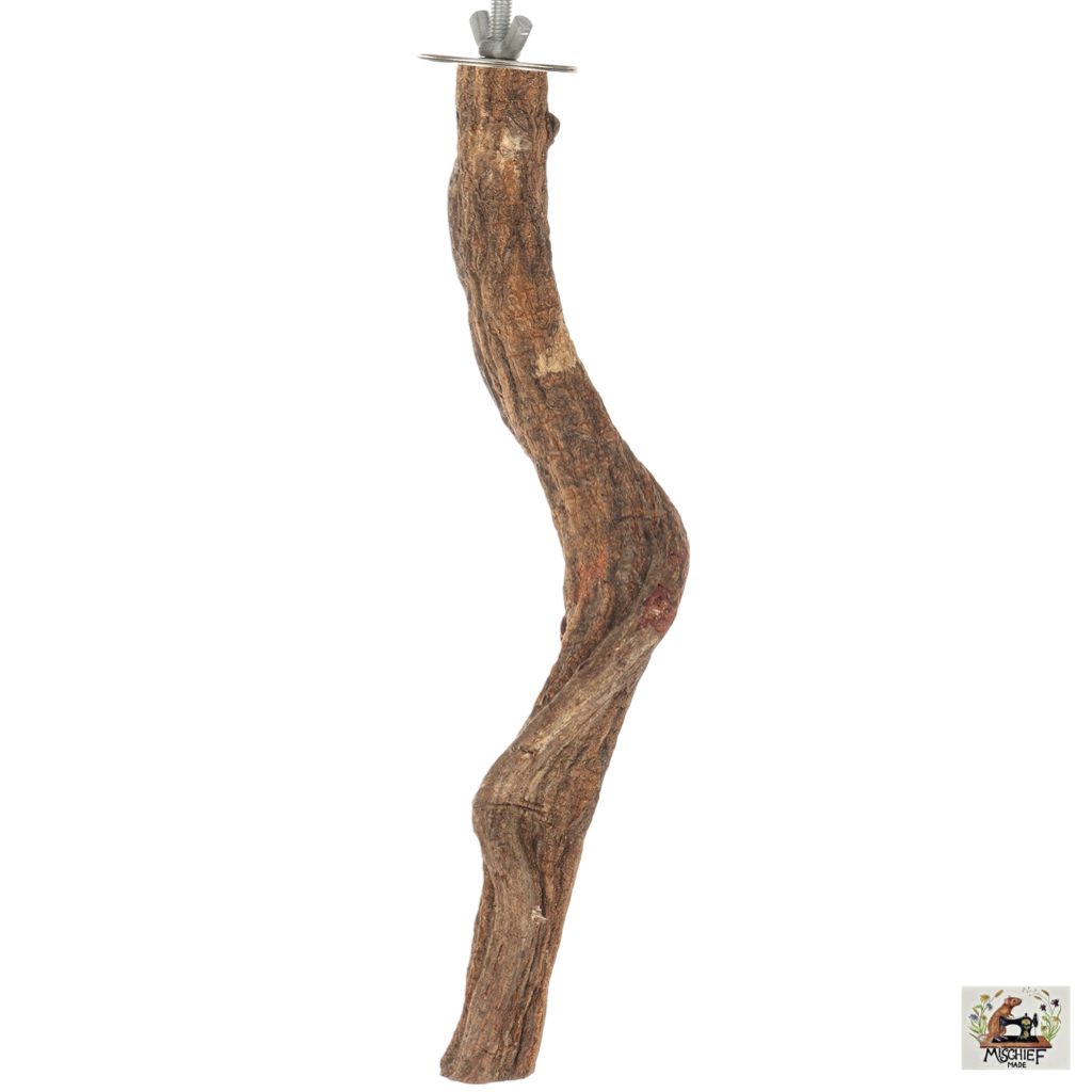 Jungle vine branch (S-L)