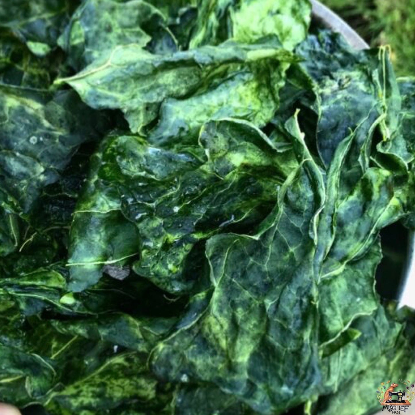 Mischief Munch - Groovy Greens