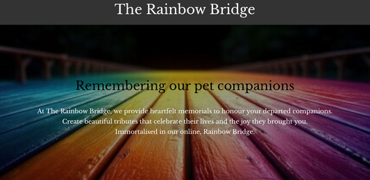 🌈 The Rainbow Bridge – A Beautiful Way to Remember Our Pet Rats