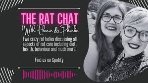 Rat chat podcast logo
