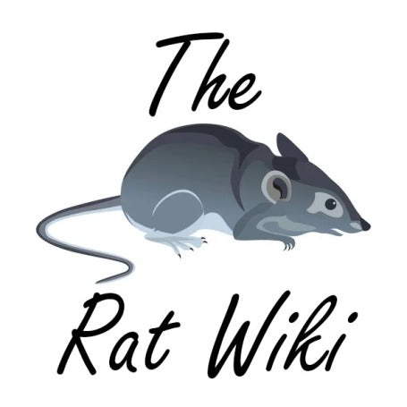 🐀 Promoting Rat Welfare: Why We Love The Rat Wiki