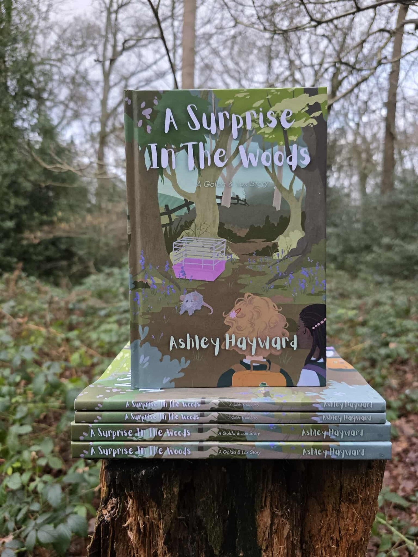 A Surprise in the Woods by Ashley Hayward (Pre-Order)