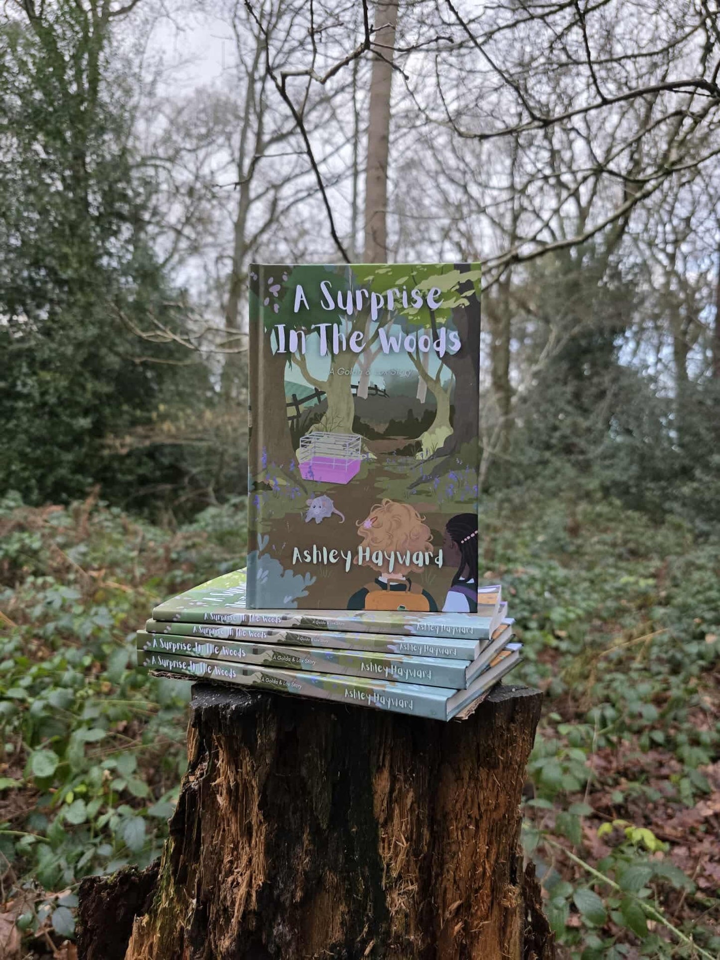 A Surprise in the Woods by Ashley Hayward (Pre-Order)