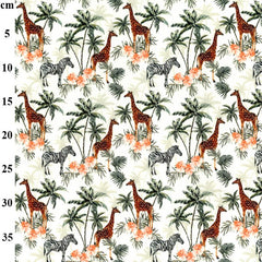 Safari