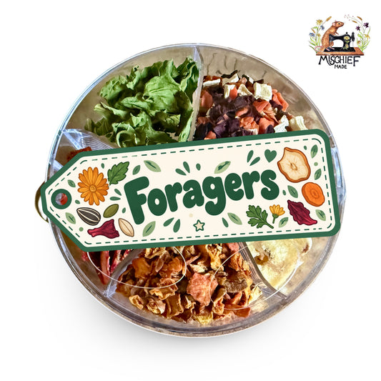 Foraging Toys and Puzzles