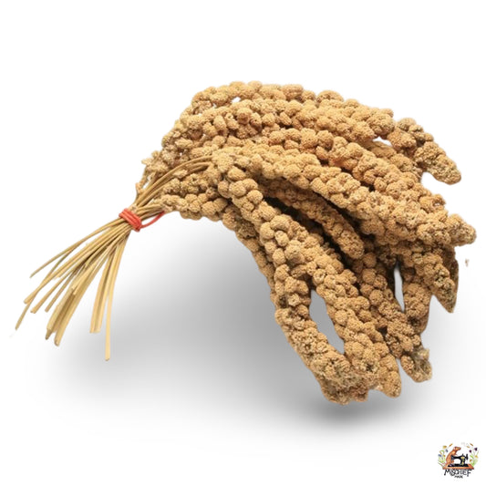 Mischief Munch - Millet Sprays