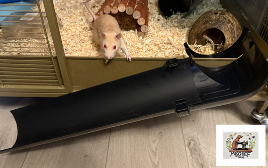 Mischief Made Ramp of requirement cage free-roam attachment HLD