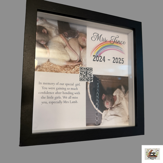 Mischief Made Rainbow Bridge Memorial