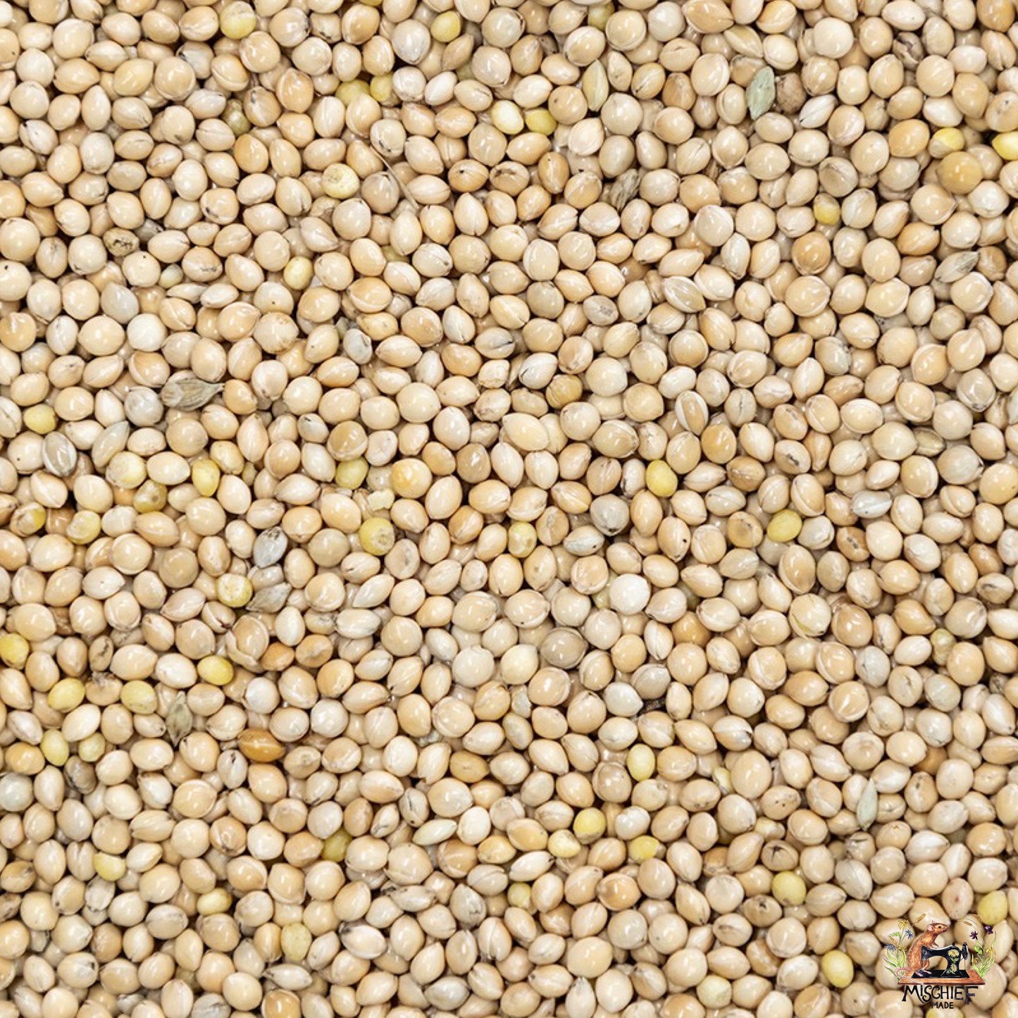 Mischief Munch - Deez Nuts (and Seeds)