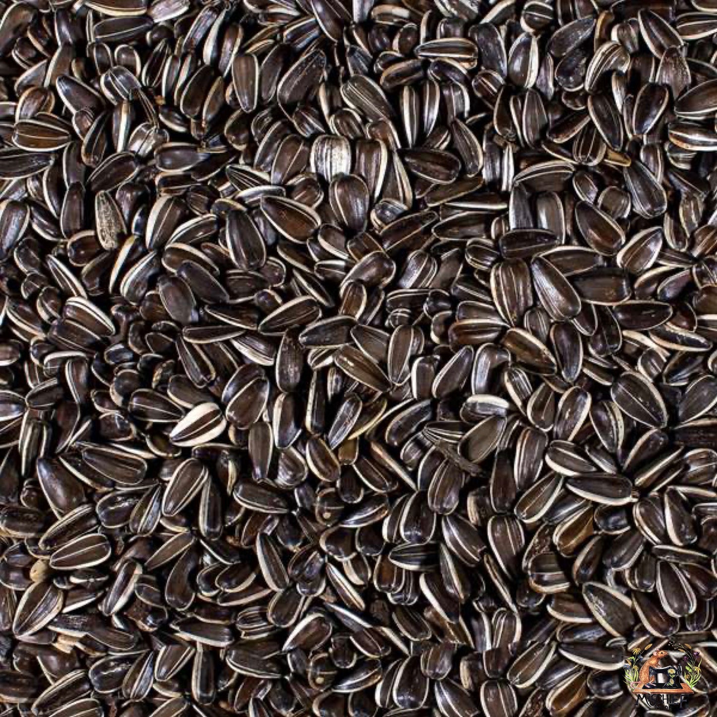 Mischief Munch - Deez Nuts (and Seeds)