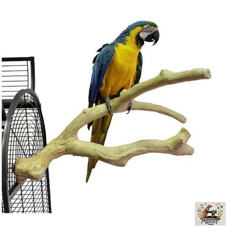 Java Wood Multi Branch XS - L