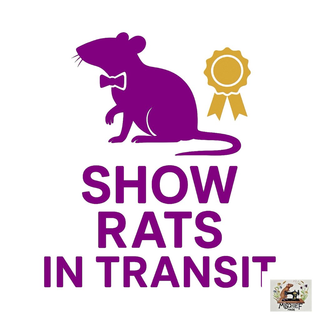 Rat theme car bumper / window sticker collection (Buy 1, get one half price)