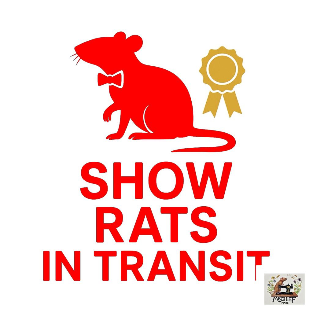 Rat theme car bumper / window sticker collection (Buy 1, get one half price)