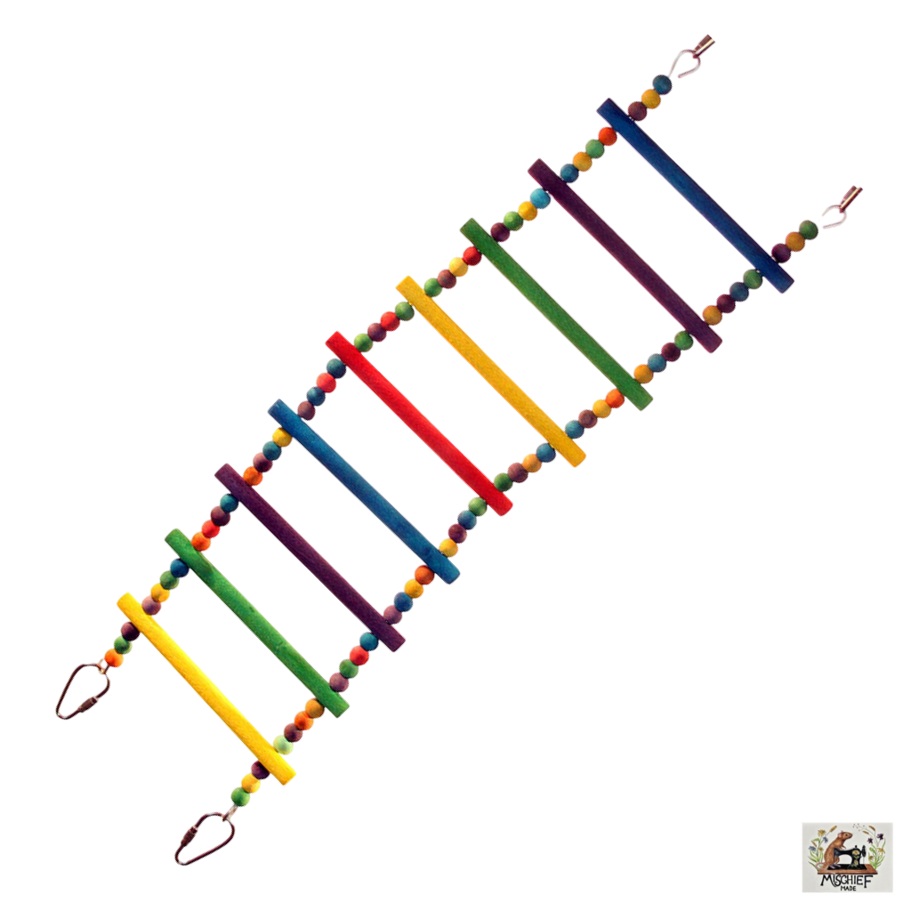 Colourful wooden ladder cage enrichment and climbing aid