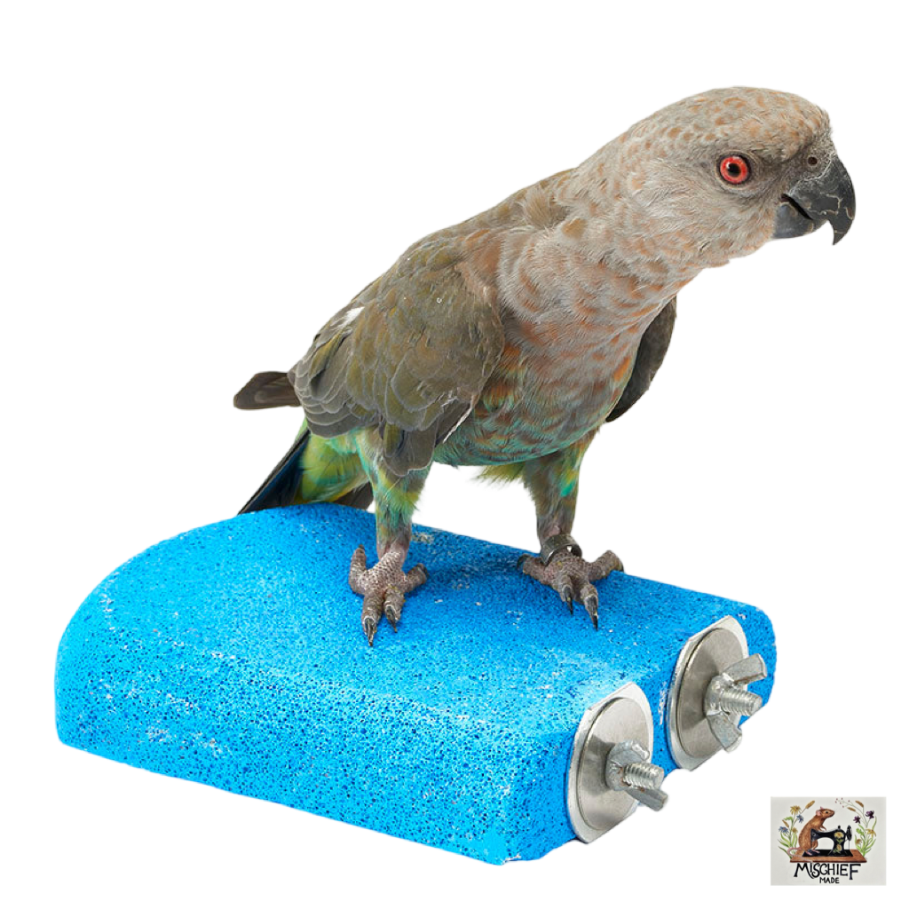 Lava ledge cage enrichment (large size)