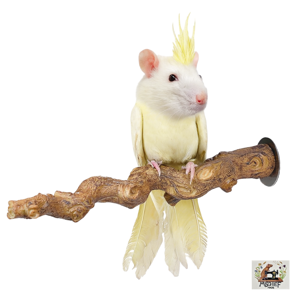 Grape Vine branch cage enrichment and climbing aid