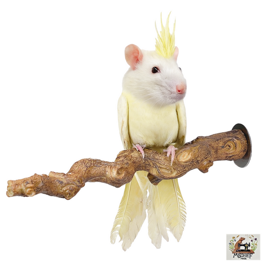 Grape Vine branch cage enrichment and climbing aid