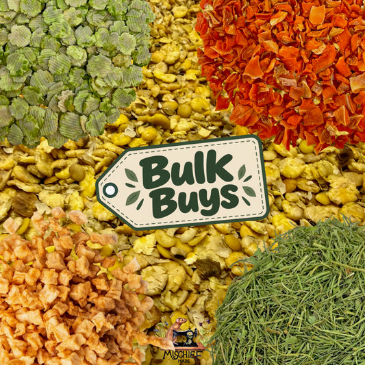 Mischief Munch - Bulk Buys