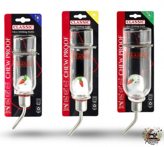 Classic Glass Pet Water Drinking Bottle