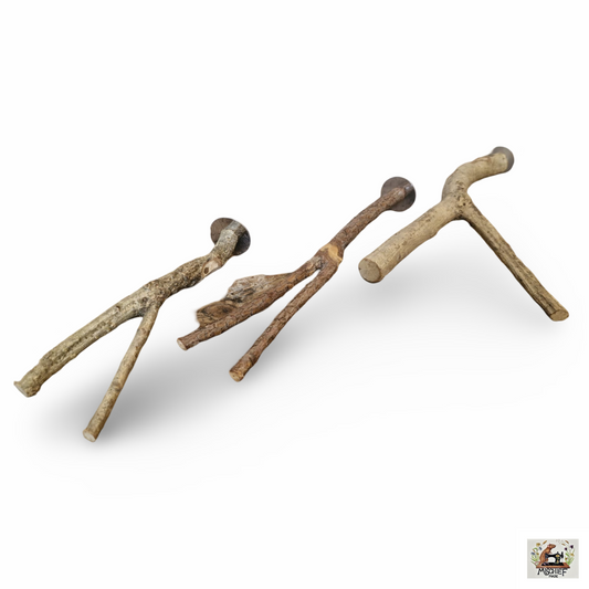 Natural rat safe wooden perch chew item