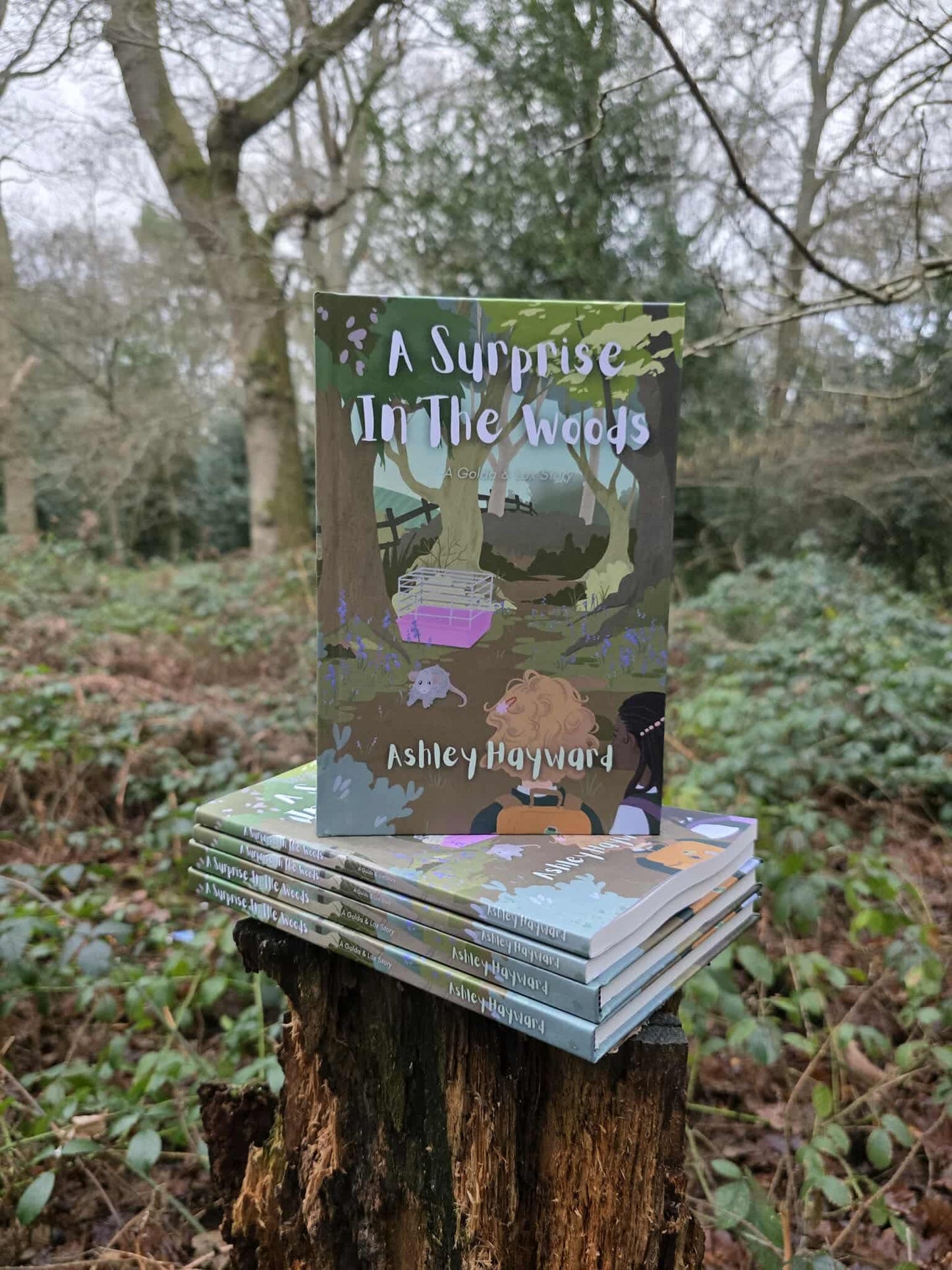 A Surprise in the Woods by Ashley Hayward (Pre-Order)