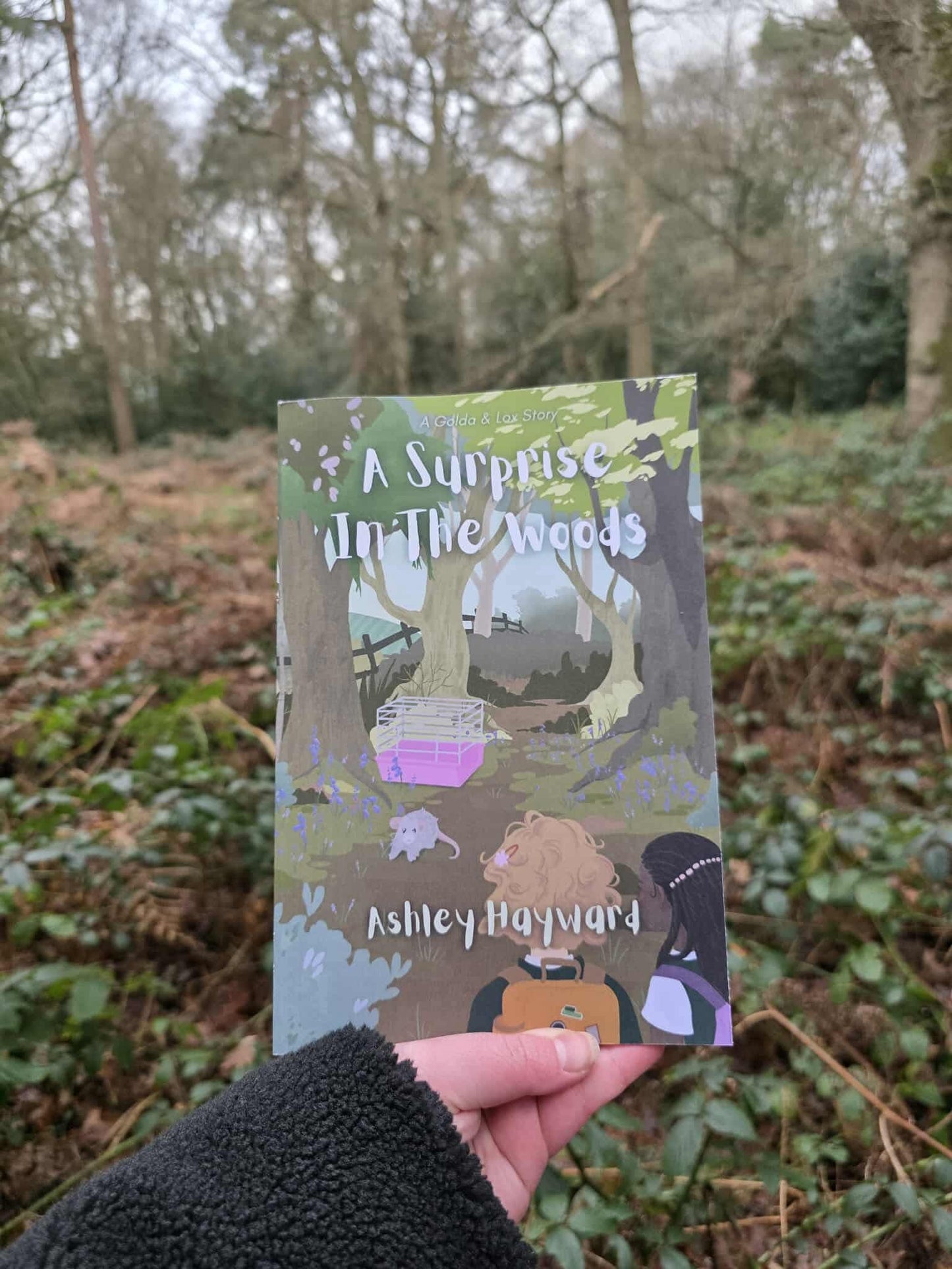 A Surprise in the Woods by Ashley Hayward (Pre-Order)