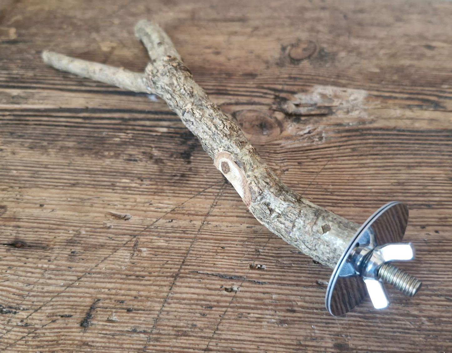 Natural rat safe wooden perch chew item