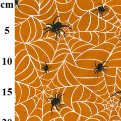 Spiders